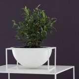 Kubus Bowl Centerpiece Large White