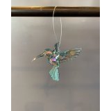 Kolibri Blå + Grøn