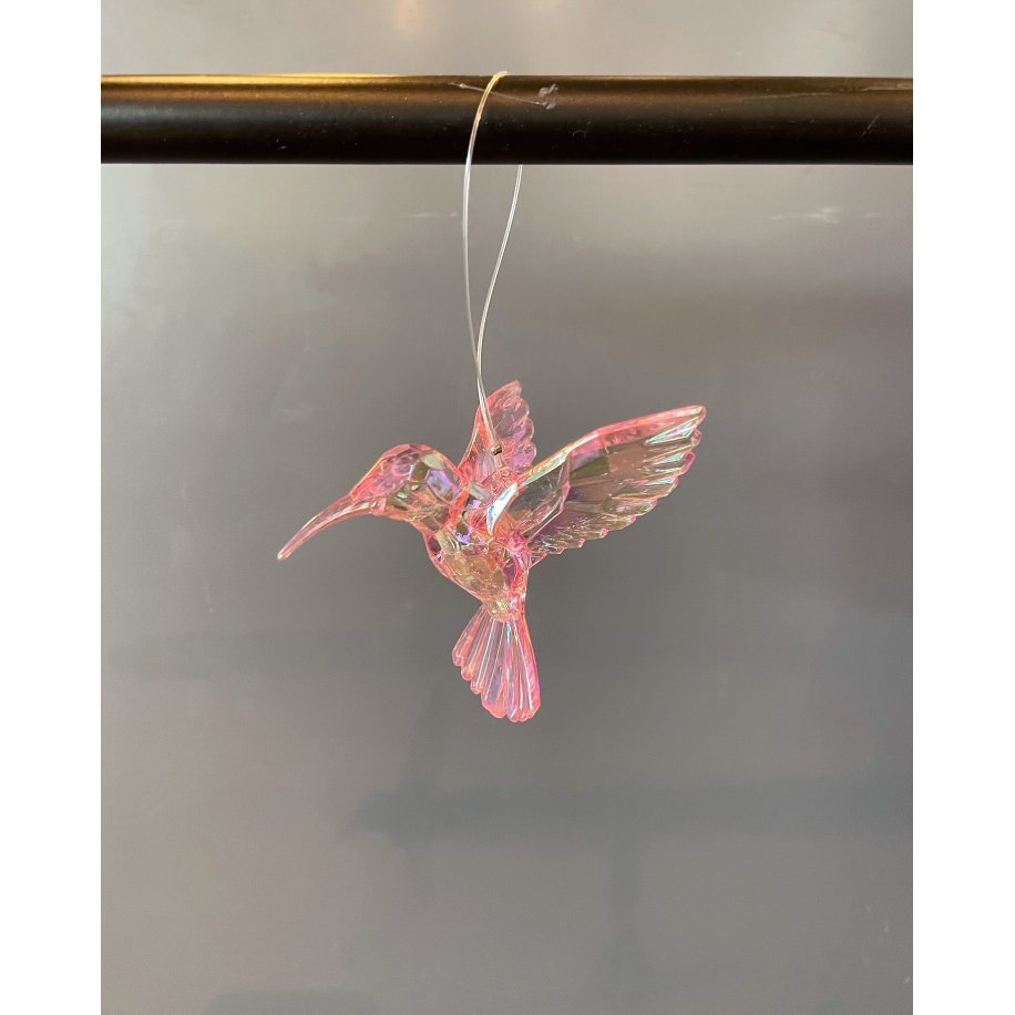 Kolibri Rosa 
