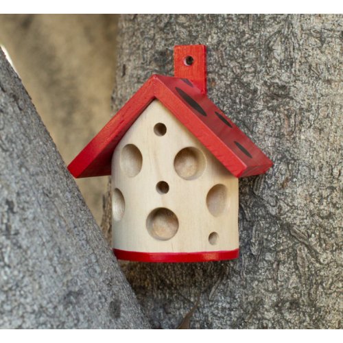 Ladybug House