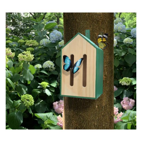 Little Butterfly House