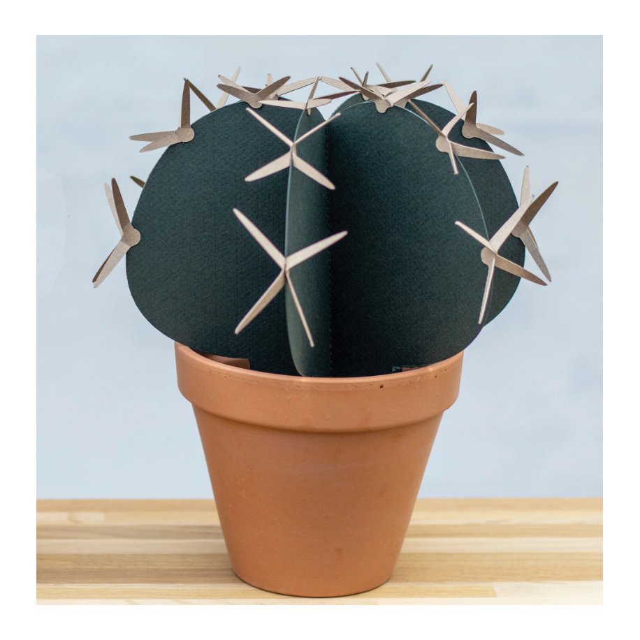 Kaktus med Pigge