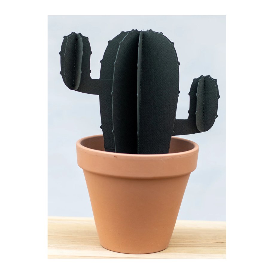 Kaktus med Arme
