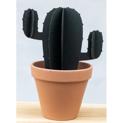 Kaktus med Arme Stor