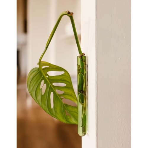 Wall Leaf Vase Green