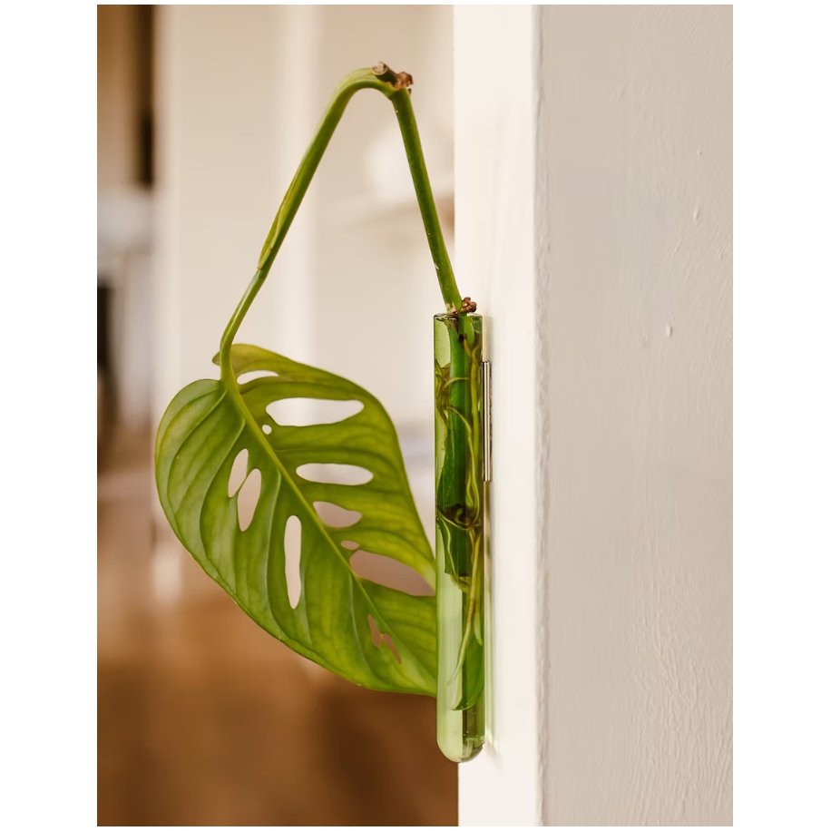 Wall Leaf Vase Green