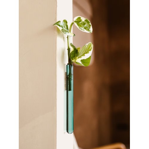 Wall Leaf vase