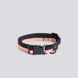 HAY Dogs Collar S/M Pink/Black
