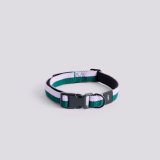 HAY Dogs Collar S/M Lavender/Green