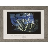 A4  Louise Hindsgavl 